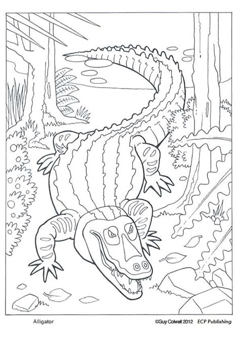 Swamp Animals Coloring Pages at GetColorings.com | Free printable colorings pages to print and color