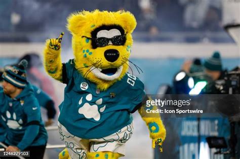 585 Jacksonville Jaguars Mascot Photos & High Res Pictures - Getty Images