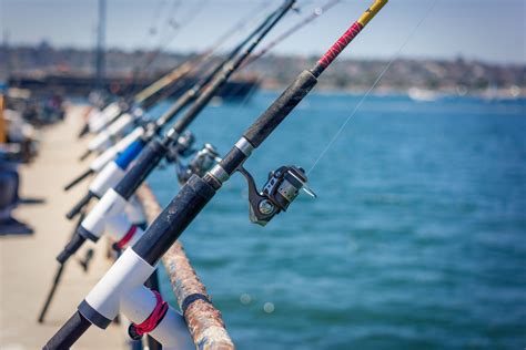 Pier Fishing Rod Setups – Beginner’s Guide