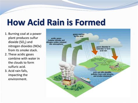 PPT - Acid Rain PowerPoint Presentation, free download - ID:9341983