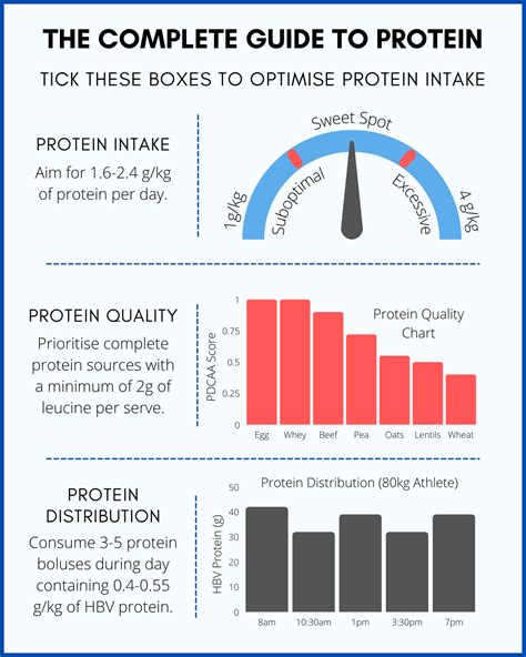 Your Guide To Protein — The Bodybuilding Dietitians