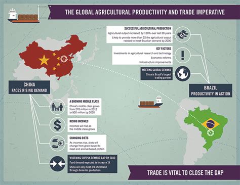 China’s Agricultural Productivity Imperative | Virginia Tech CALS Global