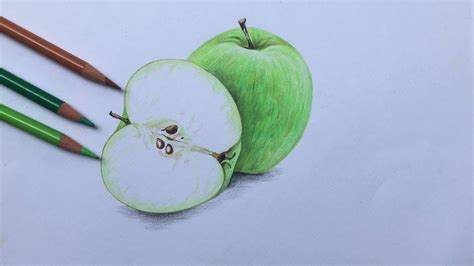 Green apple drawing in color pencil | apple drawing for beginners ...