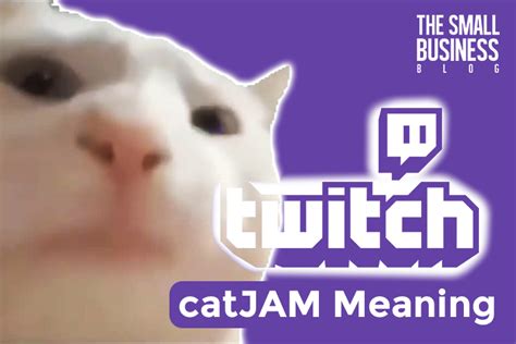 catJAM Meaning & Origin: Twitch Emote Explained - The Small Business Blog