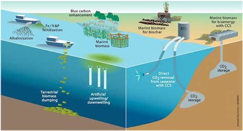 Ocean Carbon Sequestration | Current Affairs