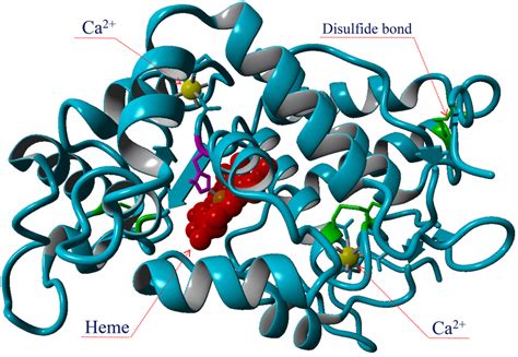 The three-dimensional structure of the horseradish (Armoracia... | Download Scientific Diagram