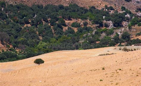 Landscape in Crete, Greece stock photo. Image of beauty - 16351048