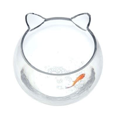 Catsparella: Cat Fish Bowl