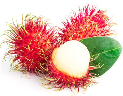 Buah Rambutan Fresh - Fresh Rambutan Fruits 500g - Toko Indonesia