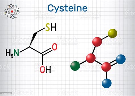 Cysteine Proteinogenic Amino Acid Molecule Sheet Of Paper In A Cage Stock Illustration ...