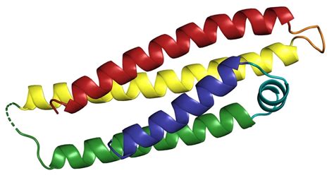 The Apo-E4 gene and its relationship with Alzheimer’s, explained