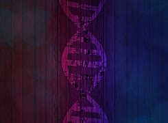Free vector graphic: Dna, Amino Acids, Biology, Code - Free Image on Pixabay - 152136