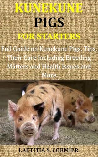 Kunekune Pigs for Starters: Full Guide on Kunekune Pigs, Tips, Their ...