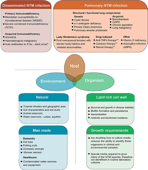 Frontiers | The Rise of Non-Tuberculosis Mycobacterial Lung Disease