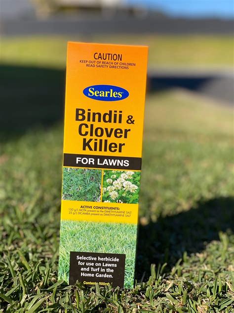 Searles Bindii & Clover Killer for Lawns 500ml | Lawn Doctor