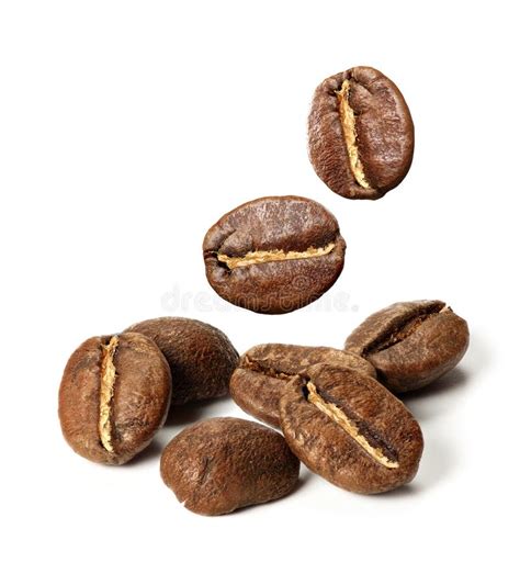 Roasted Robusta Coffee Beans. Isolated Stock Image - Image of black, roasted: 175518883