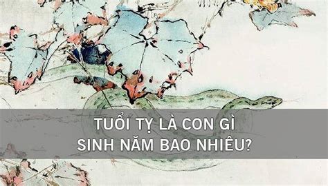 Tuổi Tỵ là con gì? Người tuổi Tỵ sinh năm bao nhiêu?