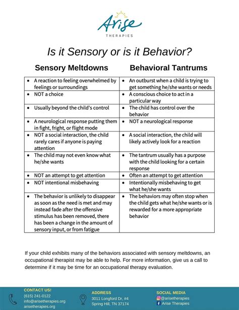 Behavioral Tantrum or Sensory Meltdown Written by Morgan Craig, OTD ...