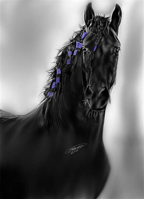 Black stallion Digital Art by Rodolfo Moreno Solorio - Fine Art America