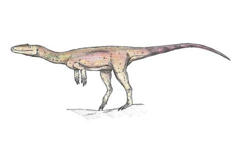 Sarcosaurus | The Flesh Loving Lizard of the Early Jurassic