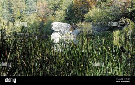 Beautiful Lake Fulmor high in the San Bernardino National Forest near ...