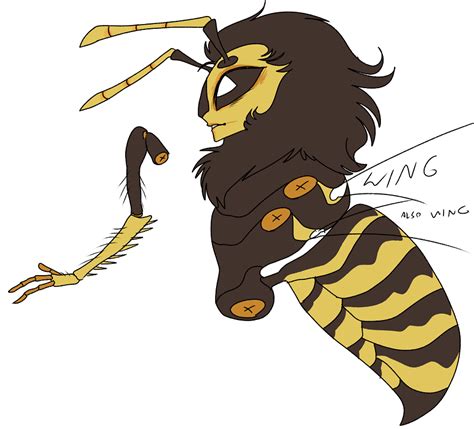 wasp anatomy concept by Spoonfayse on DeviantArt