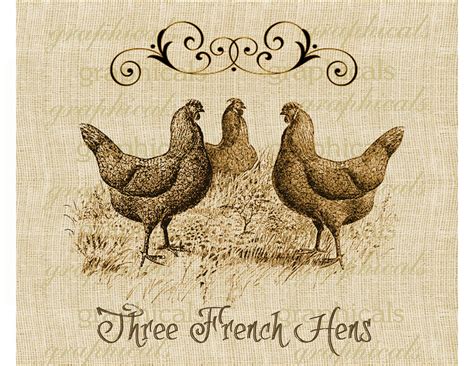 French Hen Drawing at GetDrawings | Free download