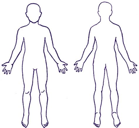 Anatomy Outline Of Human Body ~ Sample Human Body Outline Template For The Learning Media To ...