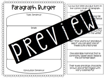 Paragraph Structure Practice by For the Love of Birds | TpT