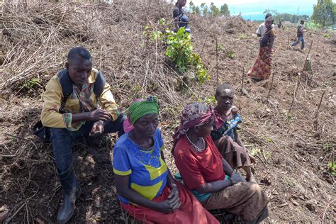 On Ancestral Island, Pygmy People Seek Self-Sufficiency