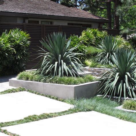 Modern Landscaping, Desert Landscaping, Landscaping Plants, Landscaping Ideas, Front Yard Garden ...