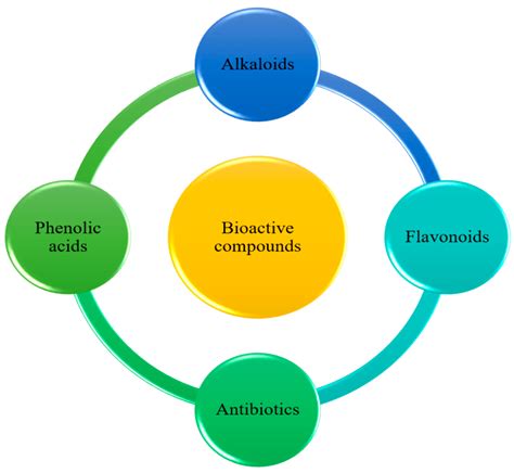 Bioactive Compounds: Types， Biological Activities & Health Effects by ...