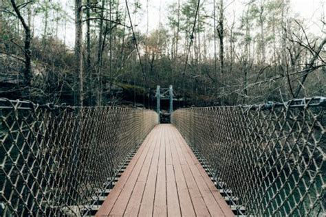 Exploring Alabama's Best Hiking Trails - Cheapest Vacations | Cool Places To Travel