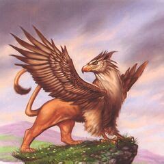 Gryphon Gallery | Warriors Of Myth Wiki | FANDOM powered by Wikia