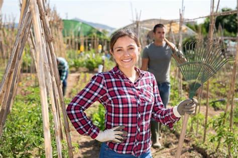 Vegetable Garden Trellis Ideas - Food Growers Hub