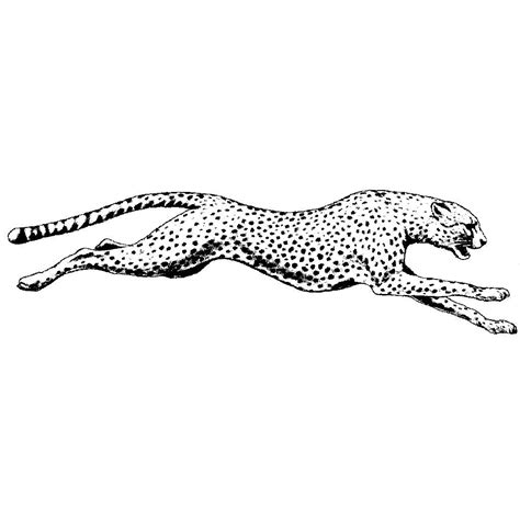 Running Cheetah 1494J | Leopard tattoos, Cheetah tattoo, Minimalist tattoo