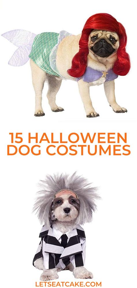 15 Funny Dog Costumes That’ll Make Everyone Say Yep You’re a Crazy Dog ...