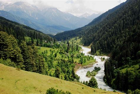 Lidder River Valley in Pahalgam, Kashmir | Tour packages, Travel tree, The incredibles