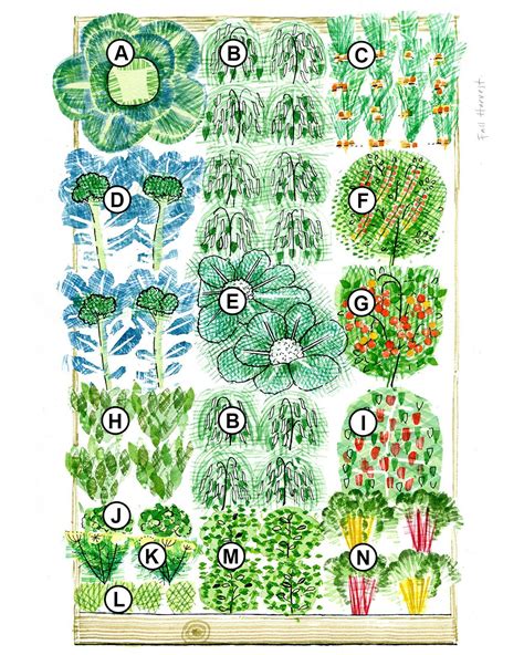 This 3 Season Raised-Bed Plan Makes Vegetable Gardening Easy | Raised bed plans, Vegetable beds ...