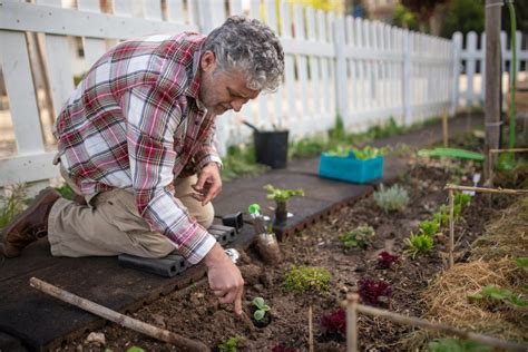 A Beginner’s Guide to Garden Weed Control: Three Things You Should Know ...