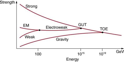 GUTs: The Unification of Forces | Physics