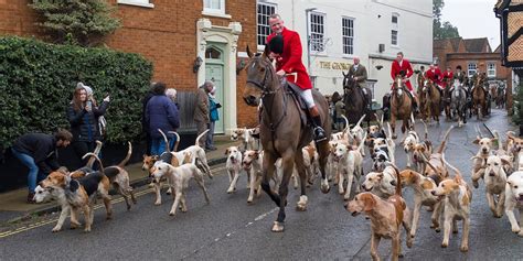 Boxing Day hunts go ahead despite stringent COVID restrictions in the UK | Totally Vegan Buzz