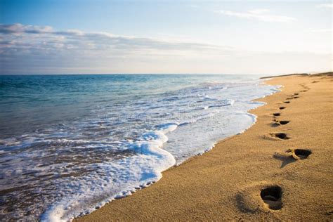 Close Up Of Footprints In The Sand At Sunset Stock Photo - Image: 61444333