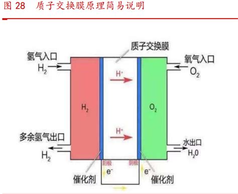 什么是质子交换膜？种类及特性介绍-三个皮匠报告