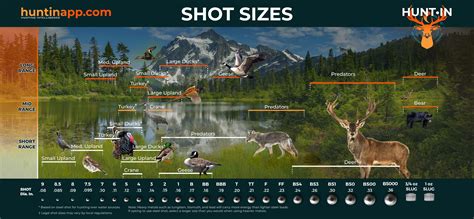 SELECTING THE RIGHT SHOT SIZE FOR YOUR HUNT – HUNT•IN