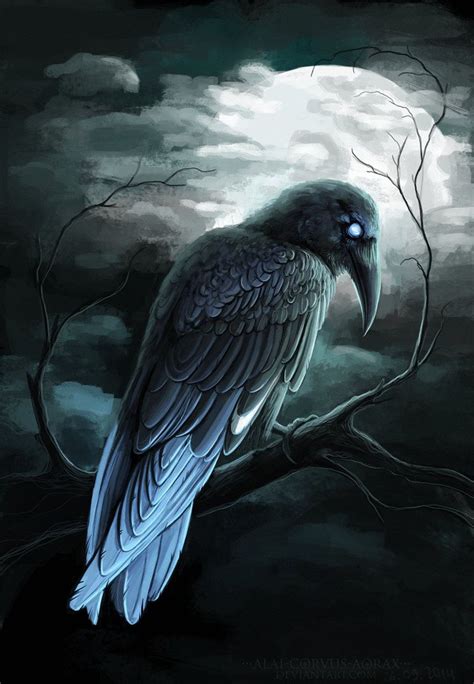 Blue-tailed raven | Raven artwork, Raven art, Crow art