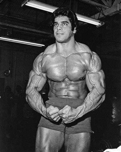 Lou Ferrigno - A Bodybuilding Profile