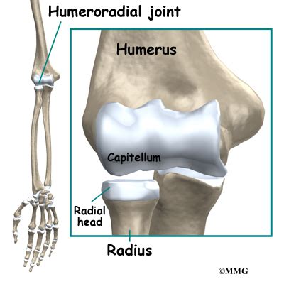 Panner's Disease of the Elbow | Orthogate