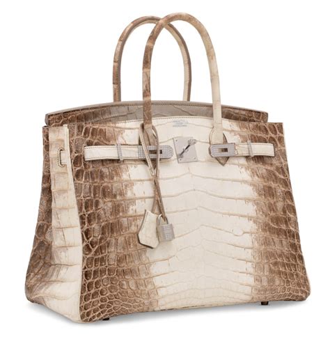 Hermes Himalayan Crocodile Birkin Bag | semashow.com