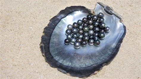 Black Pearls